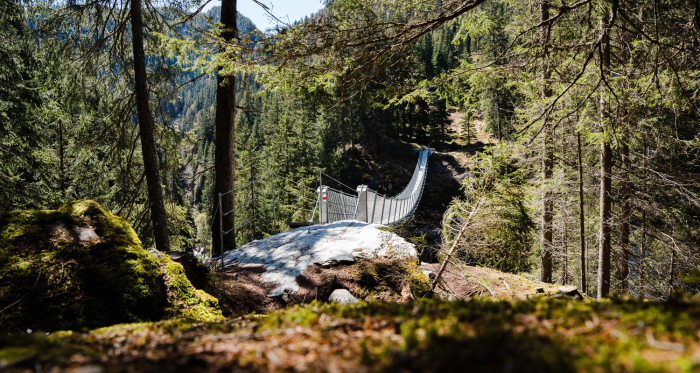 Hängebrücke Waldweg Innerferrera
