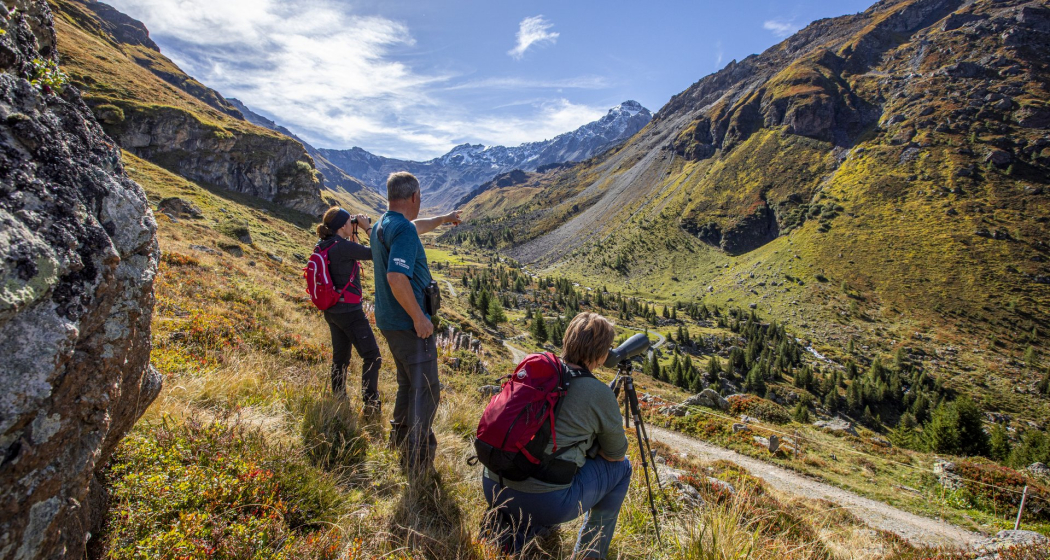 2-Tages-Wildbeobachtung im Parc Ela (nsp_img_01aecce) 2-Tages-Wildbeobachtung im Parc Ela (nsp_img_01aecce)