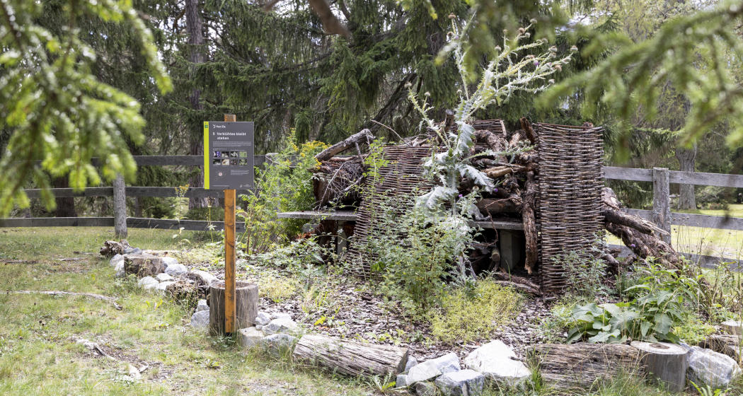 Insekten-Schaugarten Don Bosco (nsp_img_1a0e8a2)