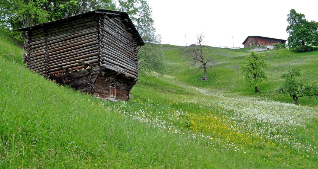 Biketour Calörtsch (nsp_img_6aee56e)