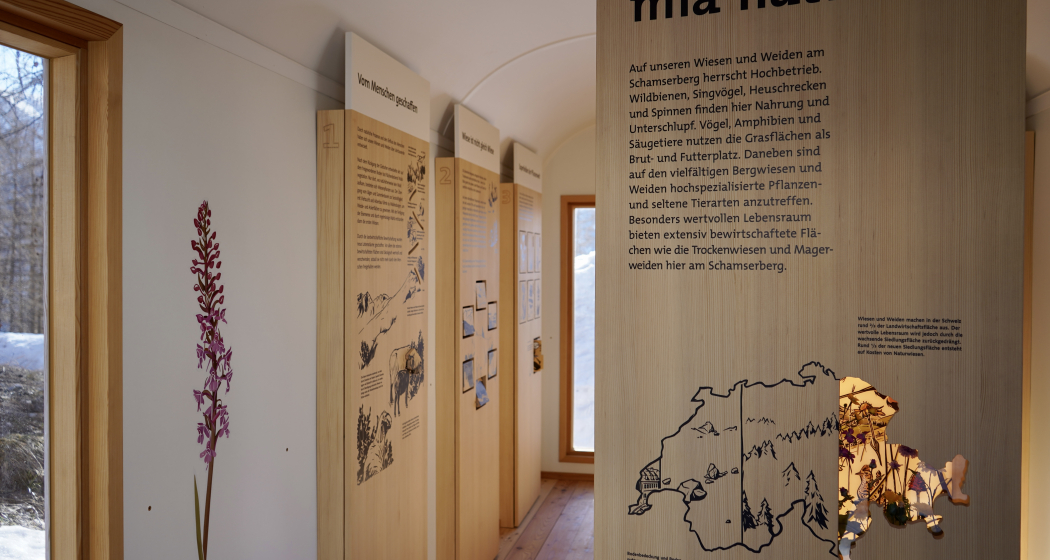 Ausstellung mia natira (nsp_img_a45abb5)