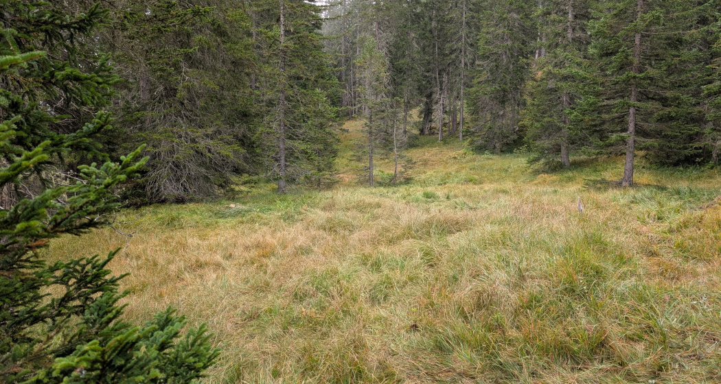 Hexenverfolgung im Surses (nsp_img_a70fe96) Hexenverfolgung im Surses (nsp_img_a70fe96)