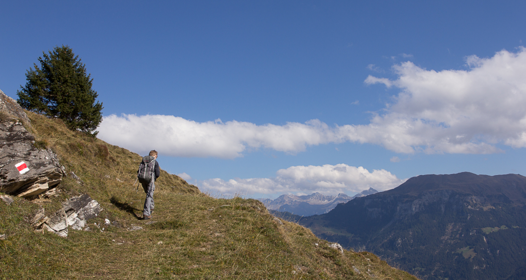 Capricorn Pirsch (nsp_img_a98d816) Capricorn Pirsch (nsp_img_a98d816)