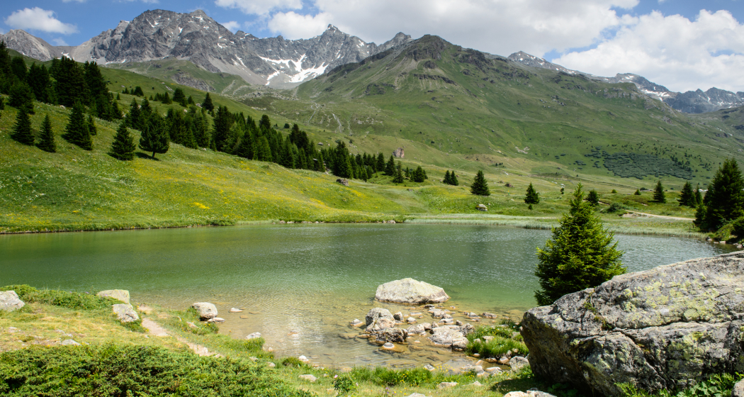 Flower Walks Schatzinsel Alp Flix (nsp_img_b7e8bc7) Flower Walks Schatzinsel Alp Flix (nsp_img_b7e8bc7)