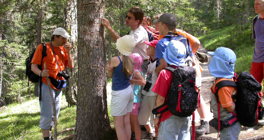 Natur(g)WUNDER (nsp_img_c0087c1)