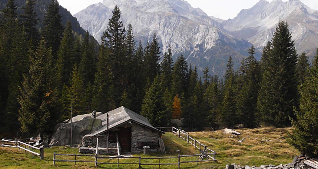 Alp Nursera und Schwarzwald (nsp_img_d8ae2de)