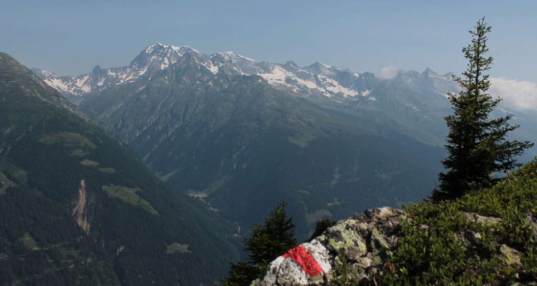 Blick auf den Tödi von der Alp Soliva