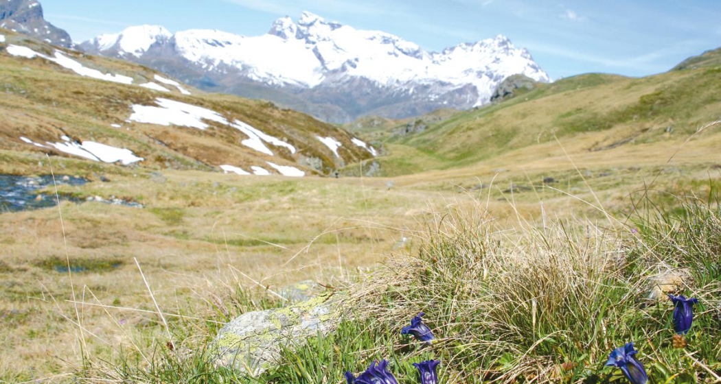 Einstige Übergangszone