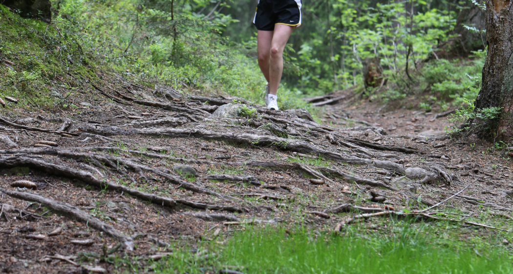 Lenzerheide - Golfplatz - Kieswerk Lantsch/Lenz - Lenzerheide Lenzerheide - Golfplatz - Kieswerk Lantsch/Lenz - Lenzerheide