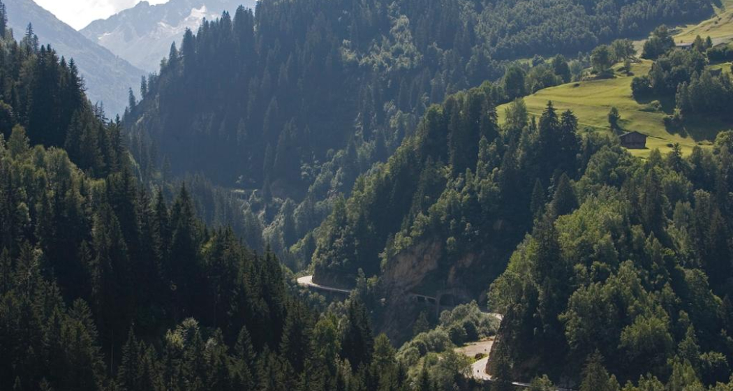 Die Schlucht des Rein da Medel Die Schlucht des Rein da Medel