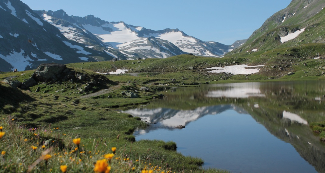 Lai Urlaun unterhalb der Hütte Lai Urlaun unterhalb der Hütte