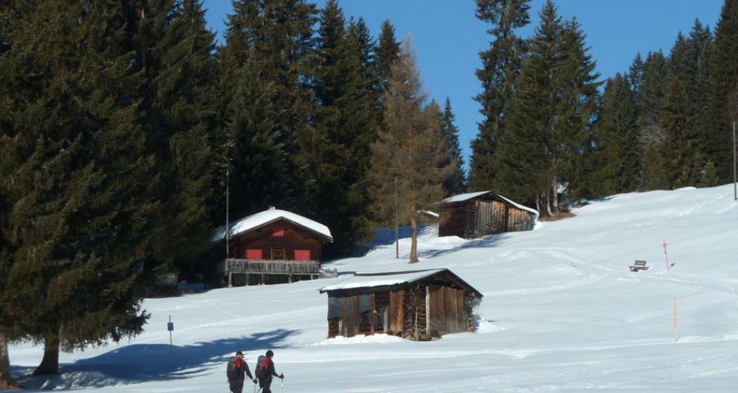 Gemütlich bergan...