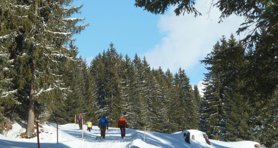 Herrliche Naturlandschaft