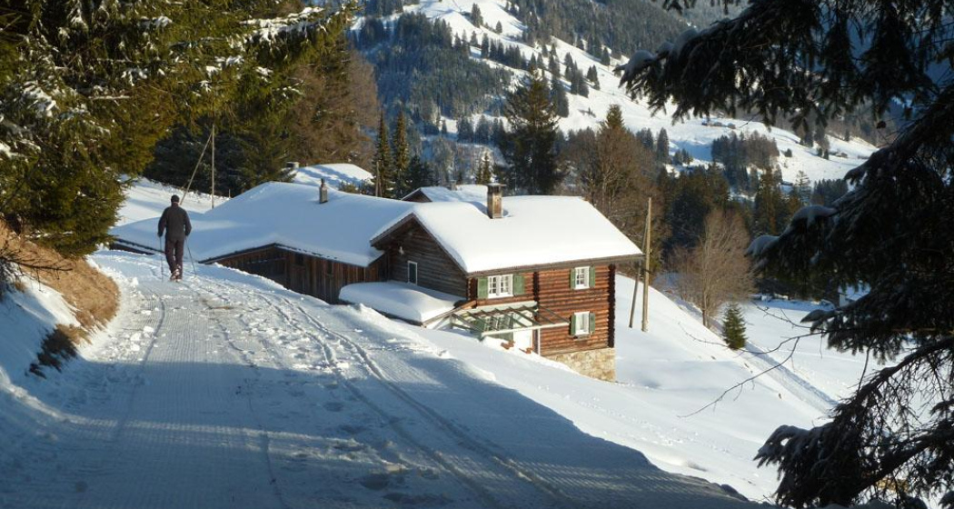 Oberhalb vom Chrühof geht's in den Wald hinein.
