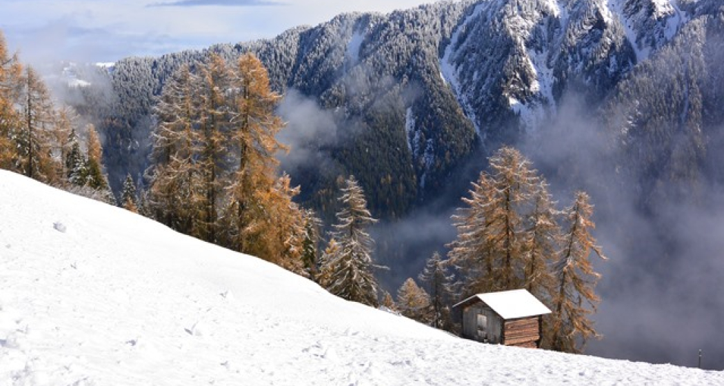 Winterwandern Waldweg Tenna (oua_13237105_image) Winterwandern Waldweg Tenna (oua_13237105_image)