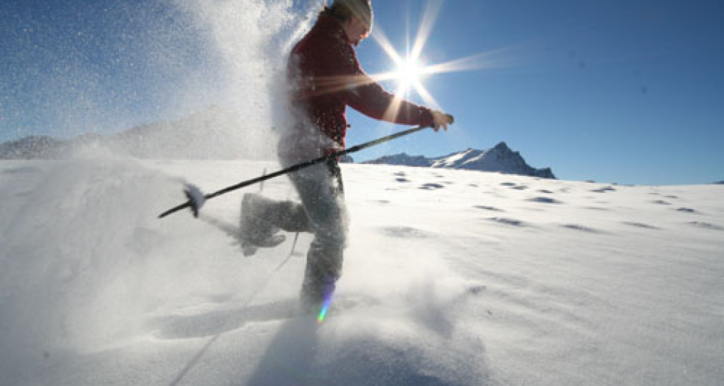 Signalisierter Schneeschuhtrail: Tscheurig, kurz (oua_13237141_image) Signalisierter Schneeschuhtrail: Tscheurig, kurz (oua_13237141_image)