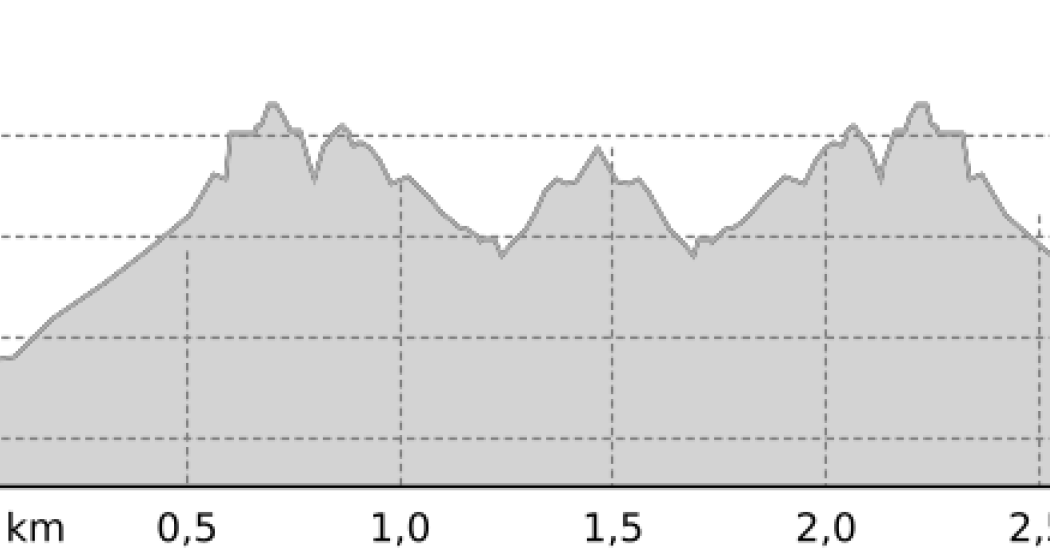 Samnaun-Plan (L2) (oua_13237855_5fa361f_profile) Samnaun-Plan (L2) (oua_13237855_5fa361f_profile)