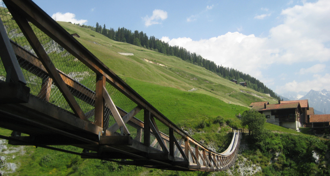 Hängebrücke aus Lärchenholz Hängebrücke aus Lärchenholz