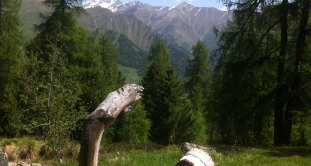 Brunnen bei Motta Saltuorn Brunnen bei Motta Saltuorn