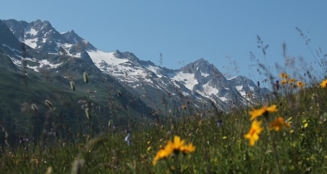 Piz Gannaretsch im Val Nalp Piz Gannaretsch im Val Nalp