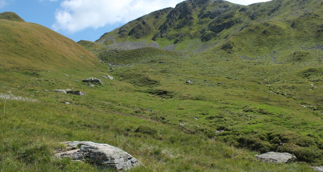 Wir verlassen hier den Wanderweg Wir verlassen hier den Wanderweg