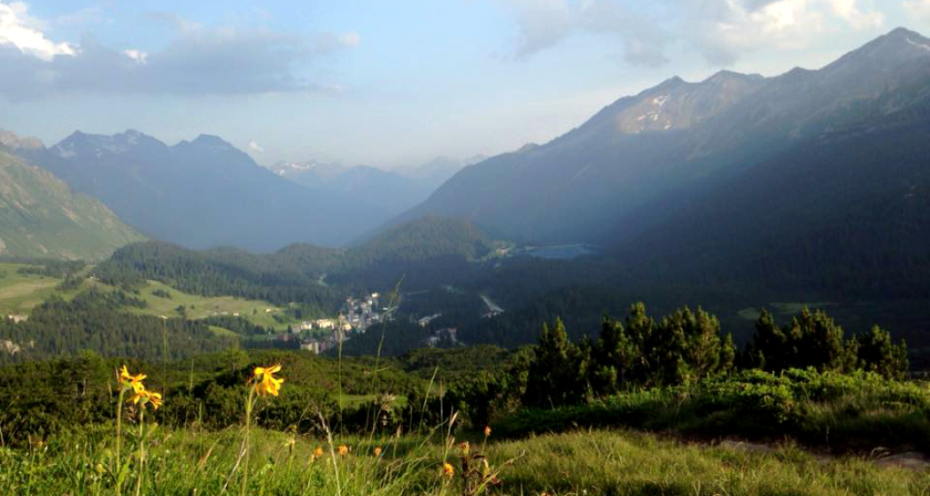 Alpe Alpe