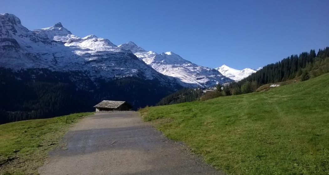 Blick von Gadastatt Richtung Zerfreila Blick von Gadastatt Richtung Zerfreila