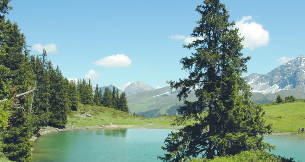 Grillstelle Oberer Prätschsee Grillstelle Oberer Prätschsee