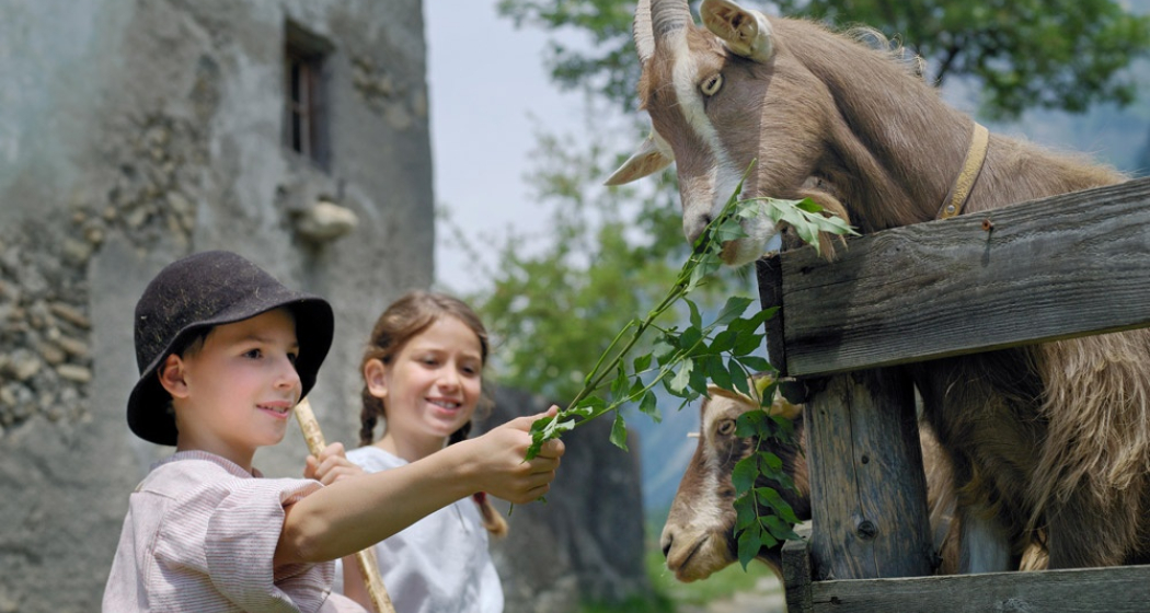 Peter und Heidi beim Geissen füttern Peter und Heidi beim Geissen füttern