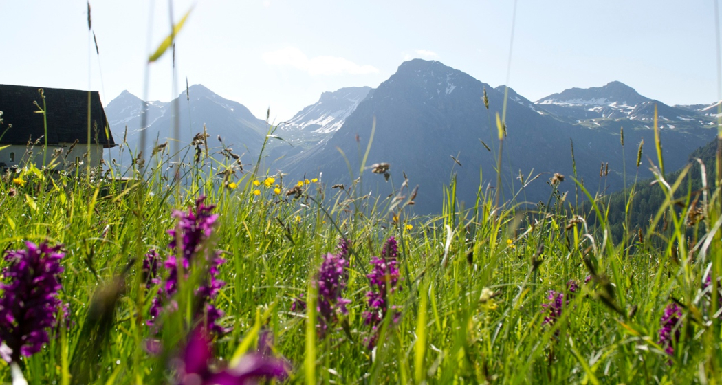 Brüggli Innerarosa - Tschuggenhütte - Brüggli Innerarosa Brüggli Innerarosa - Tschuggenhütte - Brüggli Innerarosa
