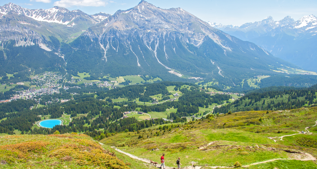 Blick vom Piz Scalottas Blick vom Piz Scalottas