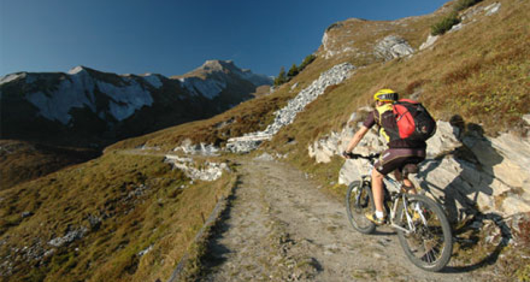 251 Alp Mora 251 Alp Mora