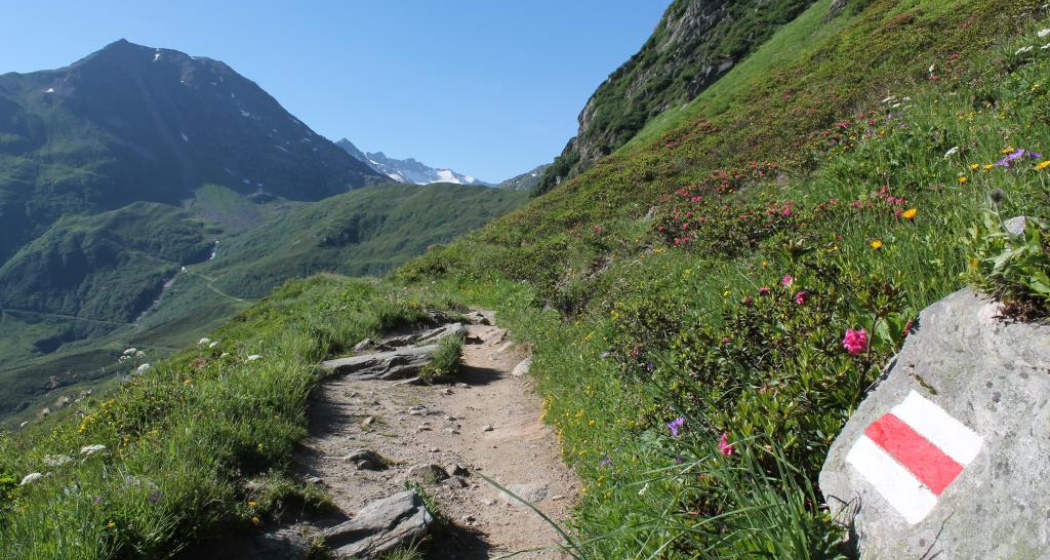 Noch ganz am Anfang beim Oberalppass Noch ganz am Anfang beim Oberalppass