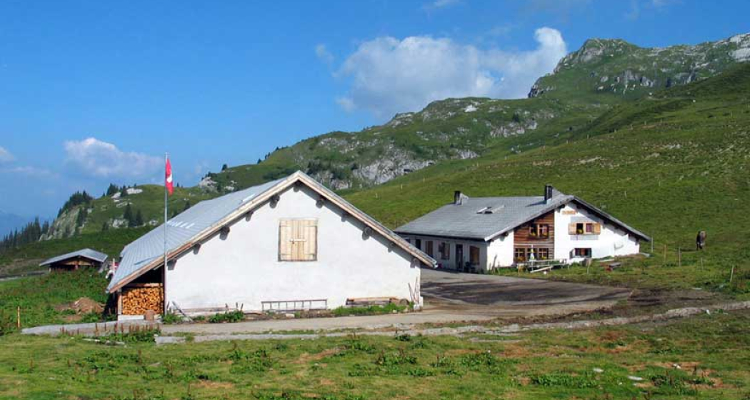 327 Alp Meder (oua_1922292_image)