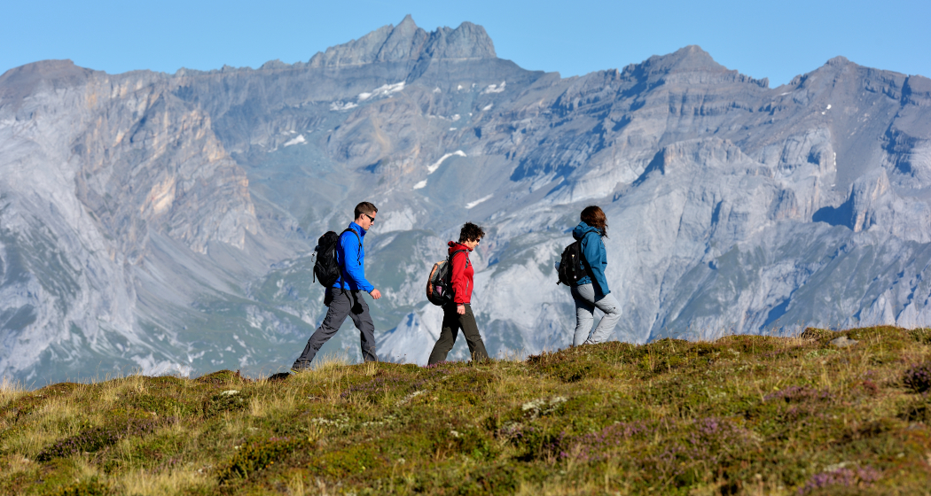 Brambrüesch-Pradaschier (ohne Dreibündenstein - kleine Route) Brambrüesch-Pradaschier (ohne Dreibündenstein - kleine Route)
