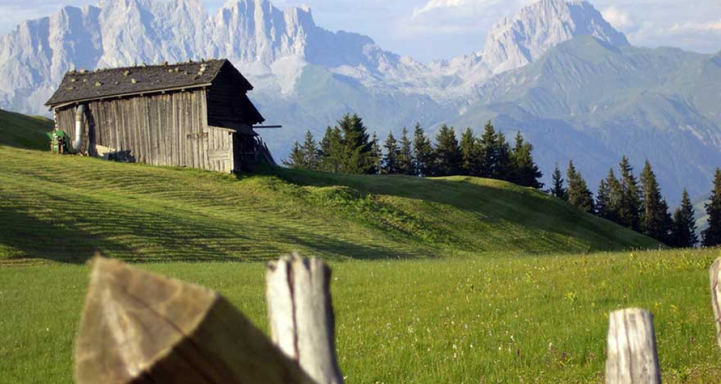 278 Danusa (oua_1978654_image)