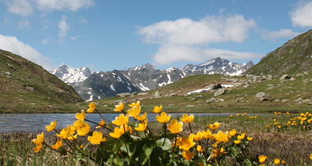 Auf dem Lolenpass Auf dem Lolenpass