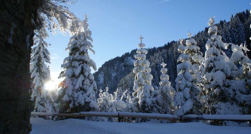 Zervreilastrasse Zervreilastrasse