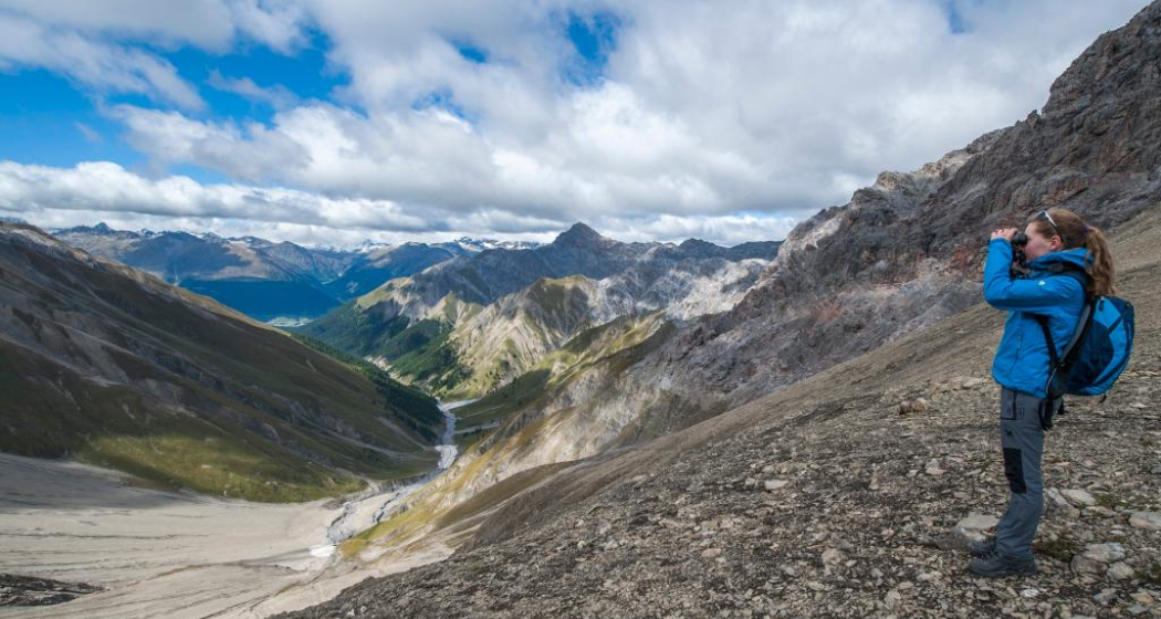 Im Abstieg von der Fuorcla Trupchun aus lassen sich im Sommer immer wieder Rothirsche und Steinböcke beobachten. Im Abstieg von der Fuorcla Trupchun aus lassen sich im Sommer immer wieder Rothirsche und Steinböcke beobachten.