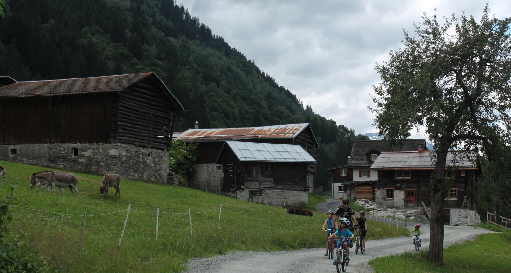 MTB Family: Disentis – Trun (oua_20339693_image) MTB Family: Disentis – Trun (oua_20339693_image)