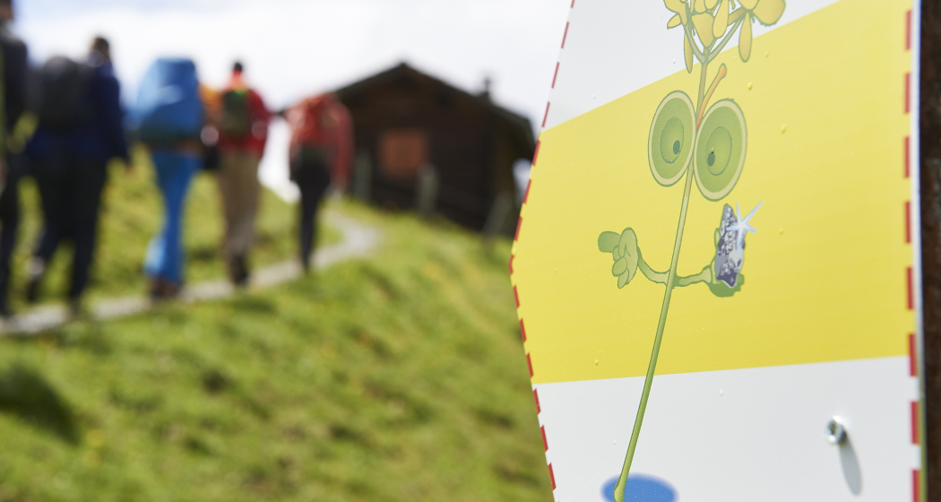Glückstrail Wegweiser Glückstrail Wegweiser