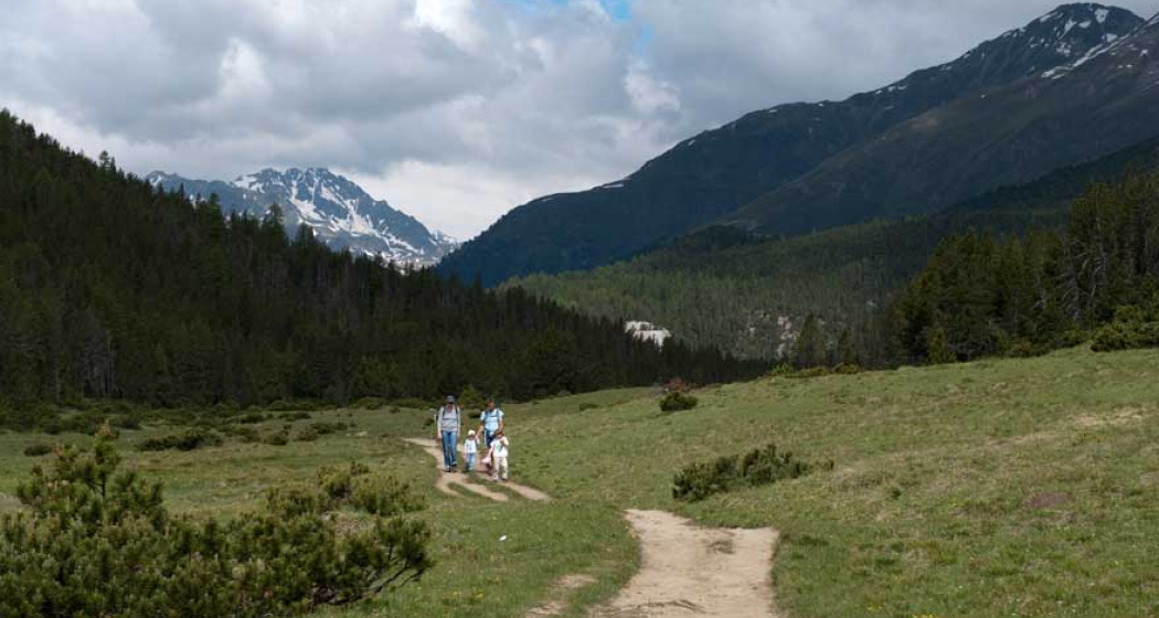 813 Nationalpark Trail (oua_2053405_image) 813 Nationalpark Trail (oua_2053405_image)