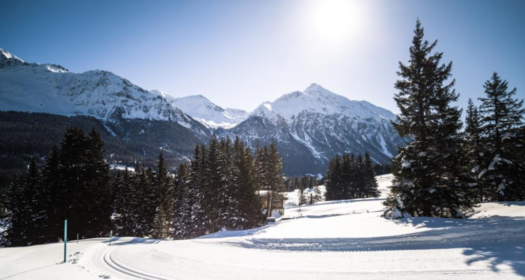 Rennloipe La Pala mit Lenzerhorn im Hintergrund Rennloipe La Pala mit Lenzerhorn im Hintergrund