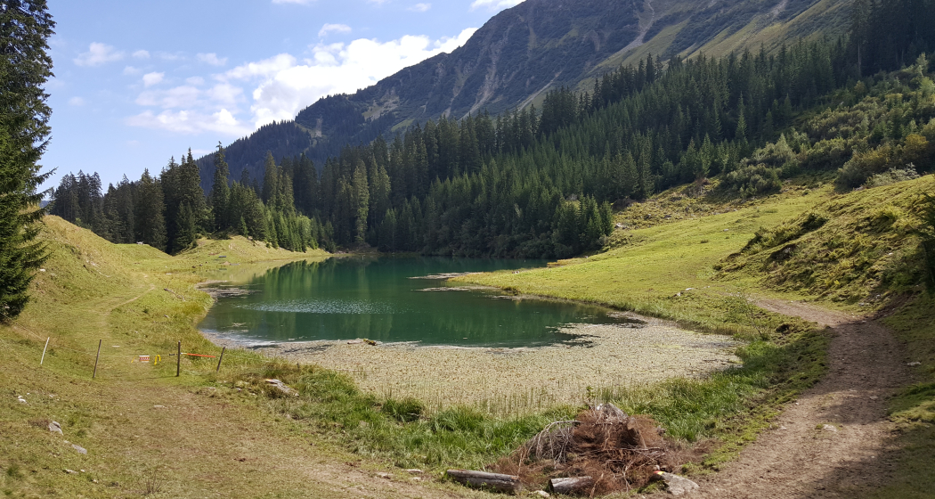 Lag da Laus eingebettet in Wiesen und Wälder Lag da Laus eingebettet in Wiesen und Wälder