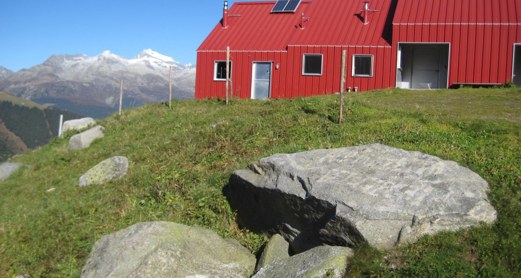 Rot auf grün - Alp Puzzetta Rot auf grün - Alp Puzzetta