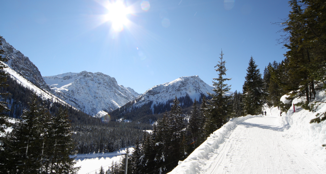 Arosa-Litzirüti-Langwies Arosa-Litzirüti-Langwies