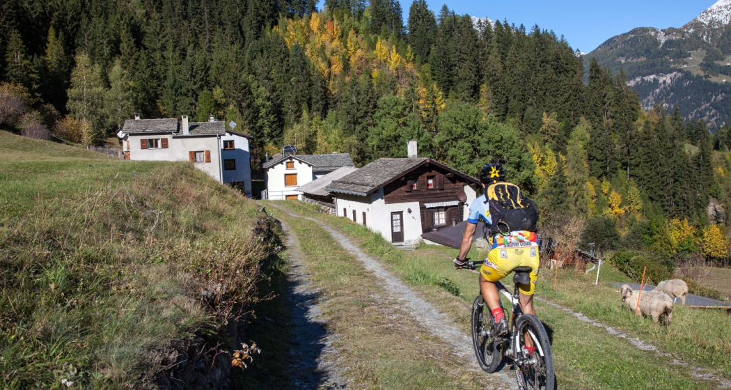 431 Granpanoramica Poschiavina (oua_21742294_image)