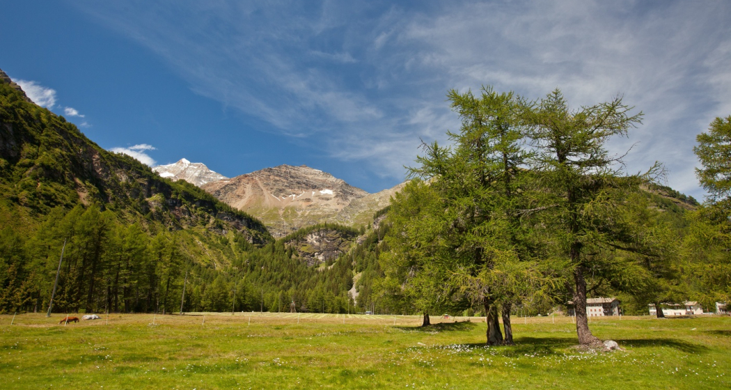 33.09 Cavaglia - Le Prese, Via Albula / Bernina (oua_21742792_image) 33.09 Cavaglia - Le Prese, Via Albula / Bernina (oua_21742792_image)