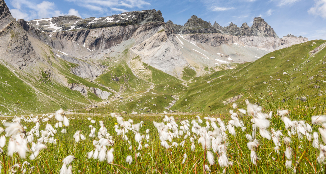 Etappe 4: Weisstannen – Sardonahütte, 73.04 Sardona-Welterbe-Weg Etappe 4: Weisstannen – Sardonahütte, 73.04 Sardona-Welterbe-Weg