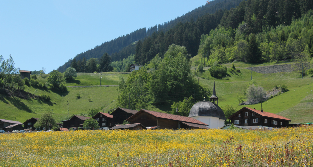 Blühende Wiesen Blühende Wiesen